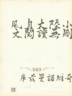 风月大陆小说全文阅读无删减