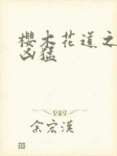 樱木花道之重生凶猛封面