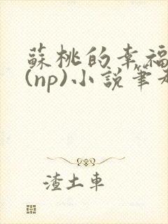 苏桃的幸福生活(np)小说笔趣阁沐沐