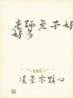 老师兔子好软水好多