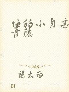 他的小月亮by青藤封面