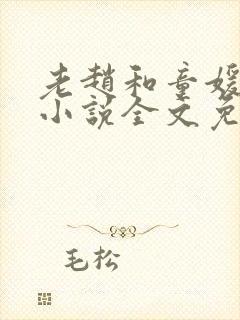 老赵和童媛媛的小说全文免费阅读