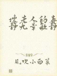 坏老人的春天敏静九章敏静