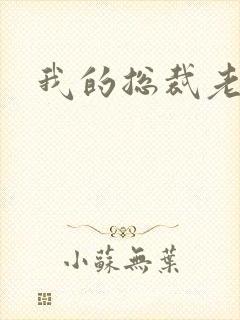 我的总裁老妈封面