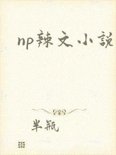 np辣文小说