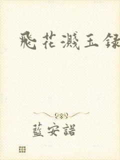 飞花溅玉录