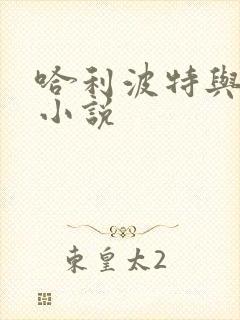 哈利波特与密室小说