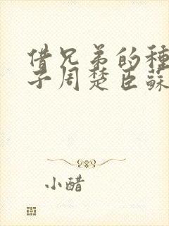 借兄弟的种生孩子周楚臣苏糖