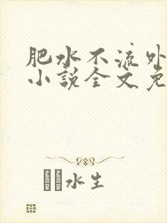肥水不流外人田小说全文免费阅读1