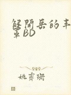 解开岳的丰满奶罩BD