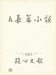 h长篇小说