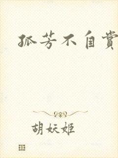 孤芳不自赏小说