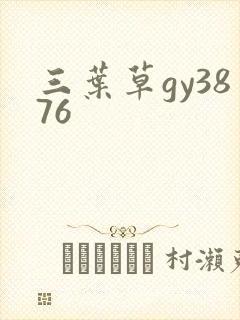三叶草gy3876封面