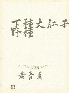 下种大肚子怀孕野种