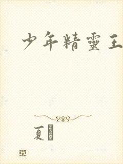 少年精灵王