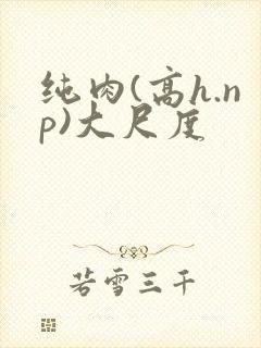 纯肉(高h.np)大尺度封面