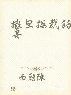 撒旦总裁的下堂妻