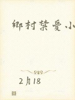 乡村禁爱小说封面