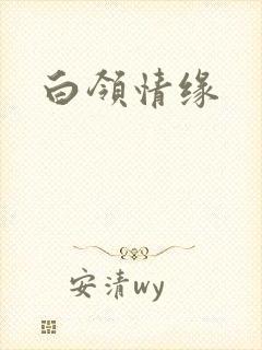 白领情缘