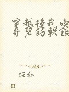 穿越后我吃到了哥儿的软饭炉山灰