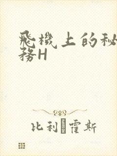 飞机上的秘密服务H封面