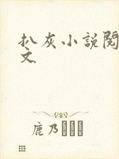 扒灰小说阅读全文封面