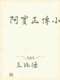 阿宾正传小说