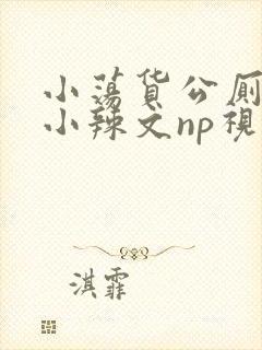 小荡货公厕h文小辣文np视频封面