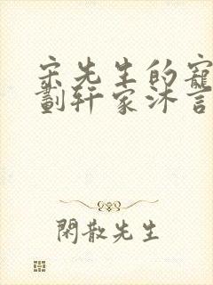 宋先生的宠妻计划轩家沐言