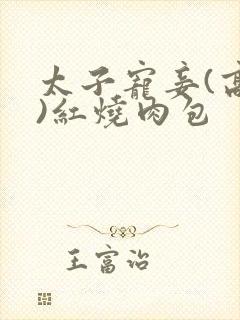 太子宠妾(高肉)红烧肉包