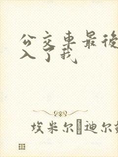 公交车最后一排入了我
