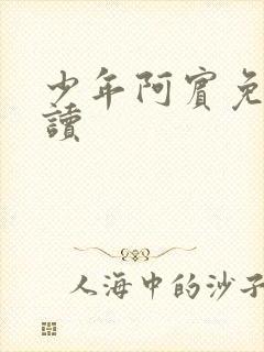 少年阿宾免费阅读