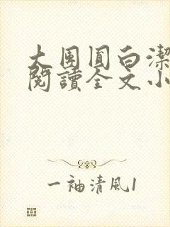大团圆白洁免费阅读全文小说