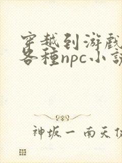 穿越到游戏里和各种npc小说