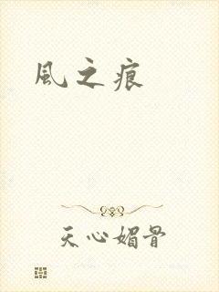 风之痕封面