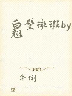 白璧微瑕by连翘