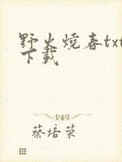 野火烧春txt下载