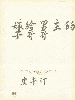 嫁给男主的病秧子哥哥封面