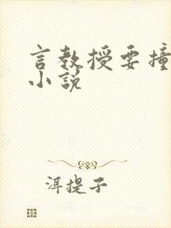 言教授要撞坏了小说