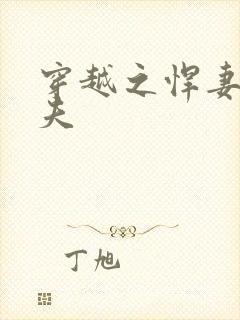 穿越之悍妻共三夫封面