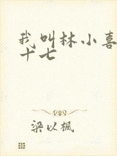 我叫林小喜今年十七