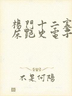 杨门十二寡妇肉床艳史电子书封面