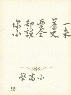 你却爱着一个他小说全文未删减免费