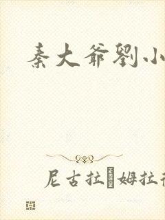 秦大爷刘小静封面