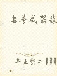 名养成器苏沫沫