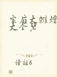 家庭大杂烩小说大全儿