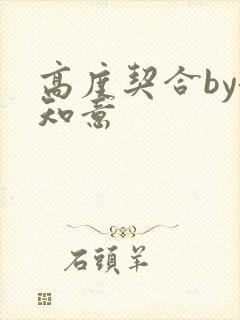 高度契合by洛知意封面