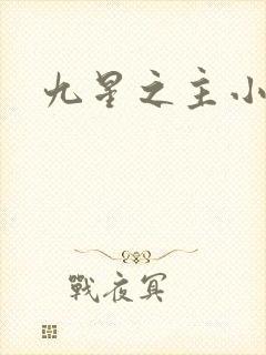 九星之主小说