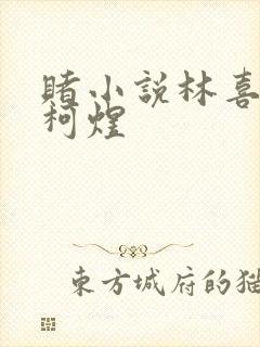 赌小说林喜朝和柯煜封面