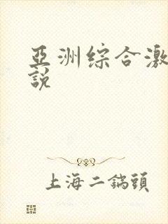 亚洲综合激情小说